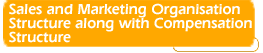 Sales and Marketing
Organisation Structure along with Compensation Structure